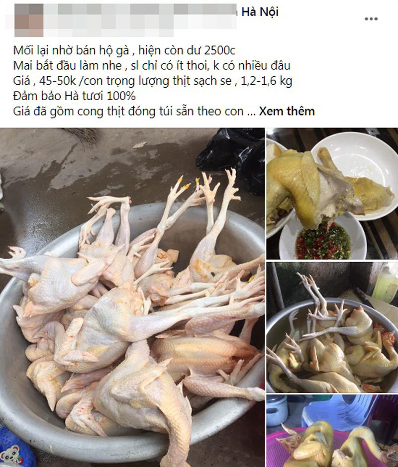 Sự thật gà ri đặc sản 45.000 đồng/con bán tràn chợ mạng-1