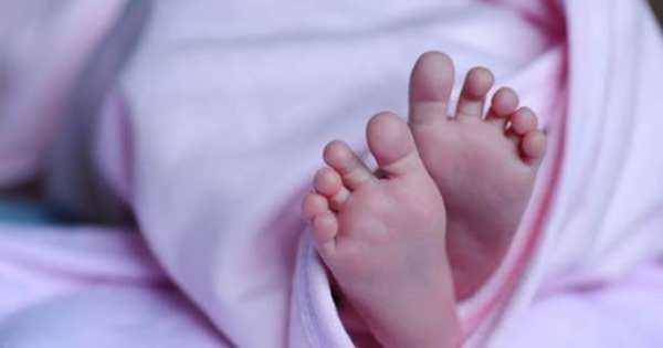 2 đứa trẻ được cứu khỏi tay ác mẫu nhưng câu nói của bé trai lớn hơn mới tiết lộ tội ác thật sự nằm trong tủ lạnh của bà mẹ-1