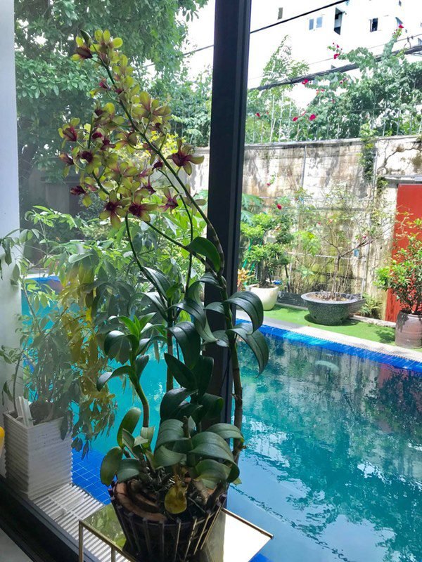 Bên trong biệt thự khủng của Hà Hồ - Kim Lý, cặp song sinh vừa chào đời đã đến ở nhà mới-4