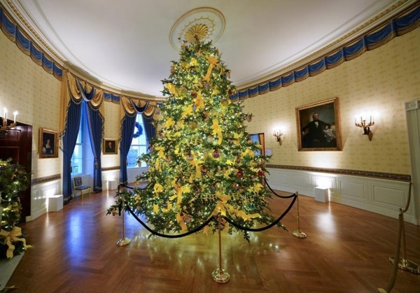 Nhà Trắng trang trí lộng lẫy đón Giáng sinh 2020-8