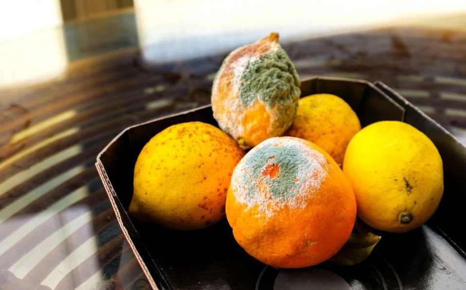 Người đàn ông mới 32 tuổi đã tử vong vì ung thư gan, bác sĩ chỉ rõ: 2 loại quả chính là sát thủ gây ung thư và còn nguy hiểm hơn rượu-2