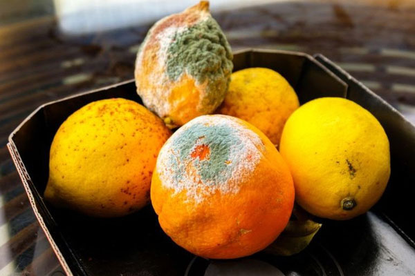 Tiền ung thư gan không đau, xuất hiện 1 ngứa, 2 hôi và 2 đỏ cần đi khám gan ngay-7