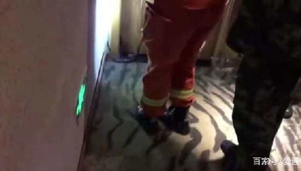 Dùng rắn độc ép cô gái quan hệ tình dục, người đàn ông chưa kịp hành sự đã lĩnh ngay cái kết bất ngờ-3