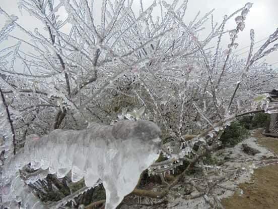 Hà Nội liên tiếp đón không khí lạnh tăng cường, nền nhiệt xuống tới 12 độ C, miền núi Bắc Bộ xuất hiện băng giá-1