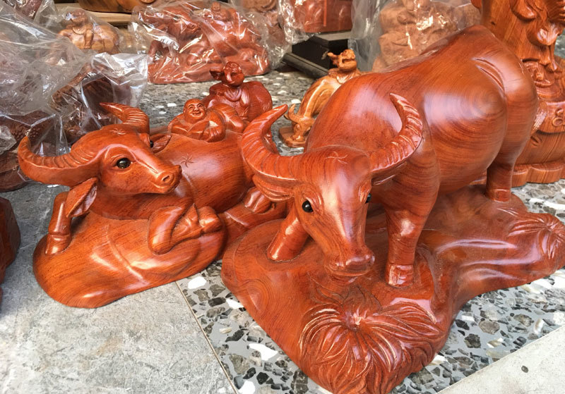 Bán đàn trâu 500 con, thu ngay 300 triệu đồng ăn Tết-1