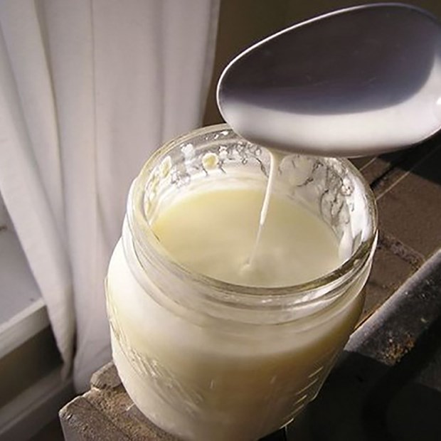 Tự làm sữa chua tại nhà mà vừa nhớt vừa không đông? Rất có thể chị em đã mắc phải 3 sai lầm này-3
