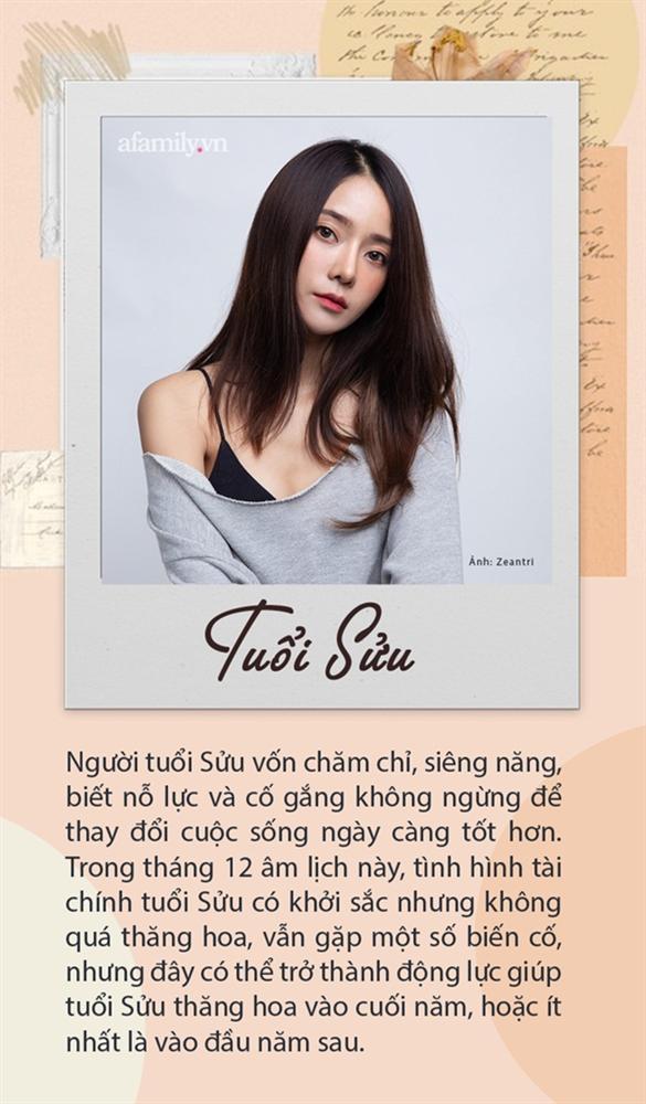 Tình hình làm ăn của 12 con giáp trong tháng 12 âm lịch: Người càng kinh doanh càng lời khủng, người cần giữ túi tài, không được manh động đầu tư-2