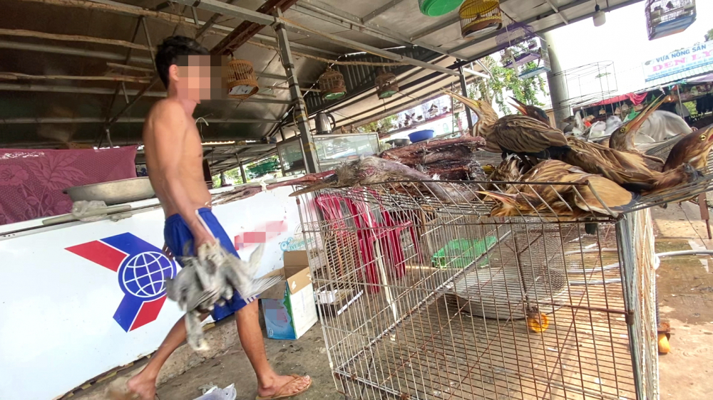 Đường đi của đặc sản chim trời-2