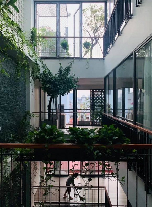 Khu vườn nhỏ xanh mướt, sai trĩu quả trên sân thượng của Ông hoàng nhạc đỏ Trọng Tấn-4