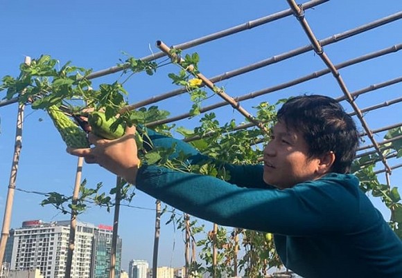 Khu vườn nhỏ xanh mướt, sai trĩu quả trên sân thượng của Ông hoàng nhạc đỏ Trọng Tấn-8