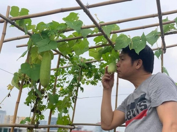Khu vườn nhỏ xanh mướt, sai trĩu quả trên sân thượng của Ông hoàng nhạc đỏ Trọng Tấn-9