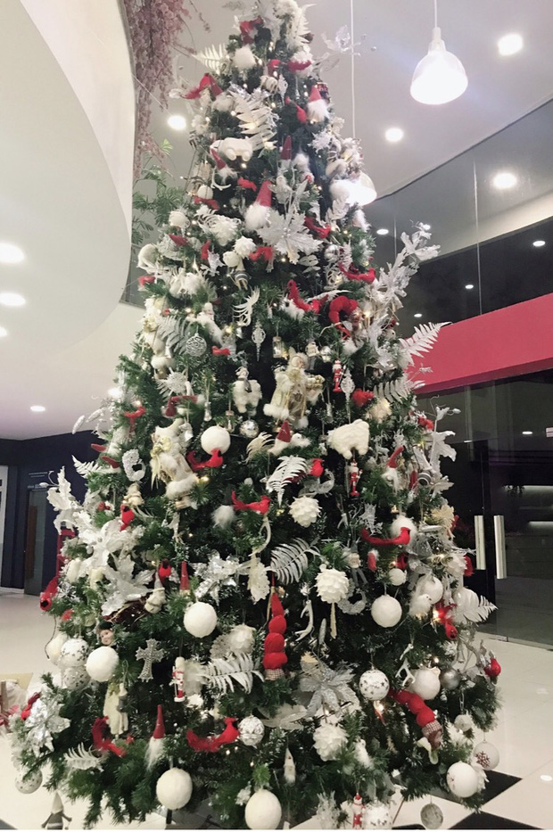 Trường con nhà giàu ĐH Thăng Long lại trang trí Giáng sinh đẹp mê hồn, đố trường nào làm lại-5