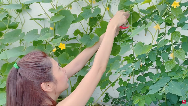 Thủy Tiên: Tôi phải ráng kiếm tiền nuôi chồng-2