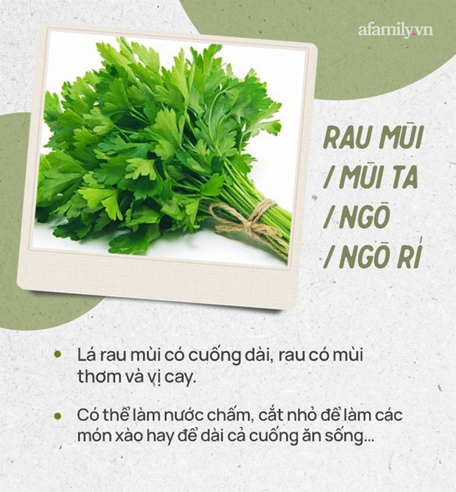 Đừng tự nhận mình là gái đảm nếu chưa phân biệt được các loại rau thơm này hội chị em nhé!-1