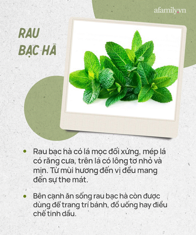 Đừng tự nhận mình là gái đảm nếu chưa phân biệt được các loại rau thơm này hội chị em nhé!-2