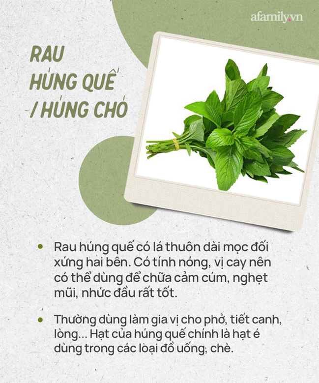 Đừng tự nhận mình là gái đảm nếu chưa phân biệt được các loại rau thơm này hội chị em nhé!-4