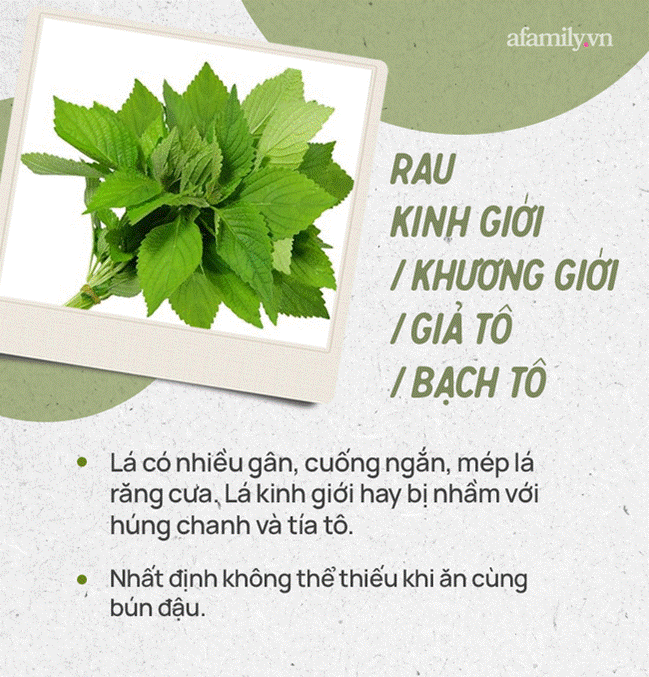 Đừng tự nhận mình là gái đảm nếu chưa phân biệt được các loại rau thơm này hội chị em nhé!-6