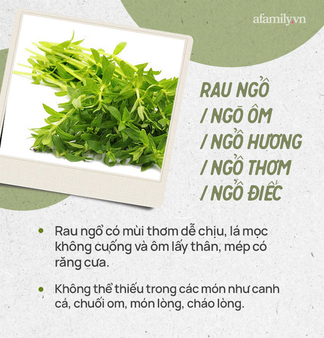 Đừng tự nhận mình là gái đảm nếu chưa phân biệt được các loại rau thơm này hội chị em nhé!-8