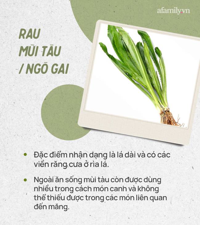 Đừng tự nhận mình là gái đảm nếu chưa phân biệt được các loại rau thơm này hội chị em nhé!-9