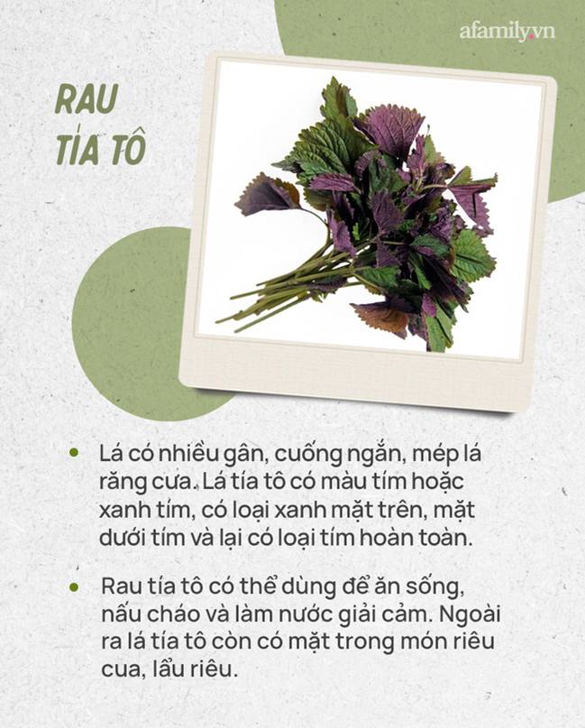 Đừng tự nhận mình là gái đảm nếu chưa phân biệt được các loại rau thơm này hội chị em nhé!-10