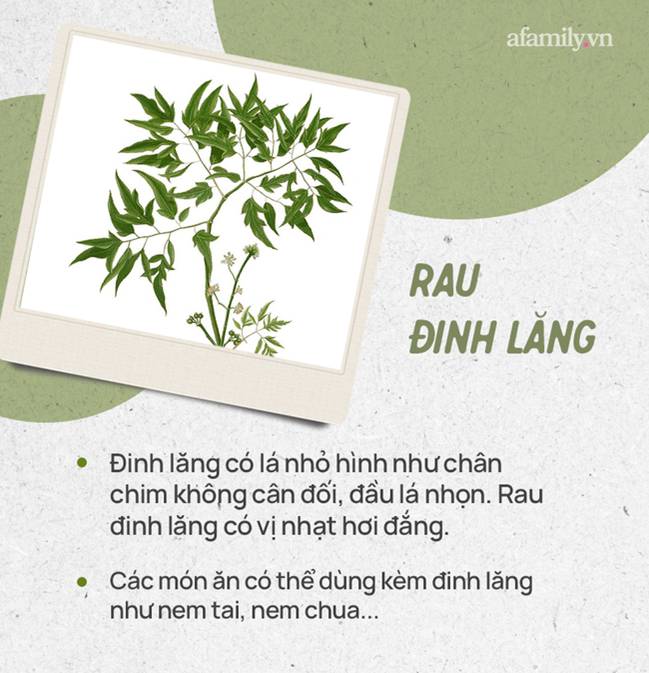 Đừng tự nhận mình là gái đảm nếu chưa phân biệt được các loại rau thơm này hội chị em nhé!-11