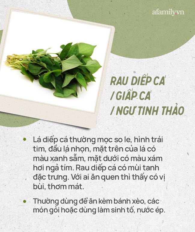 Đừng tự nhận mình là gái đảm nếu chưa phân biệt được các loại rau thơm này hội chị em nhé!-12