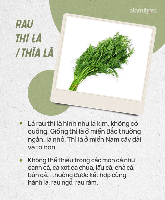 Đừng tự nhận mình là gái đảm nếu chưa phân biệt được các loại rau thơm này hội chị em nhé!-13