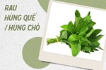 Mua thịt bò về đừng vội bỏ vào tủ lạnh, làm thêm 1 bước giúp thịt để cả tháng vẫn tươi ngon-2