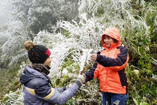 Dự báo thời tiết 7/12: Miền Bắc vẫn rét căm căm, vùng núi có băng