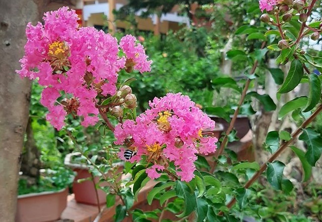 Giúp đỡ chị hàng xóm tội nghiệp, tôi nhận đòn sấm sét từ vợ-1