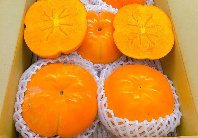 Hồng Nhật khổng lồ thơm mùi sữa, 1 triệu đồng/quả vẫn cháy hàng-1