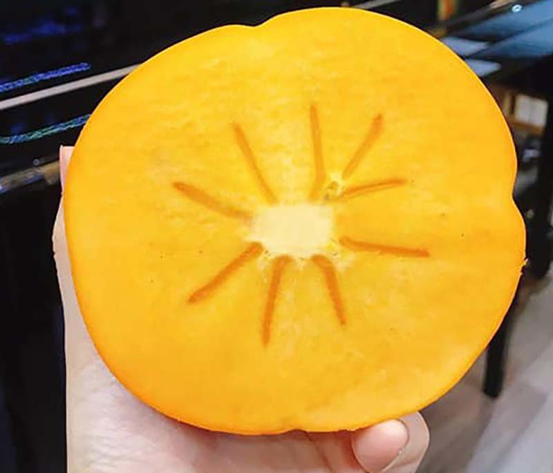 Hồng Nhật khổng lồ thơm mùi sữa, 1 triệu đồng/quả vẫn cháy hàng-3