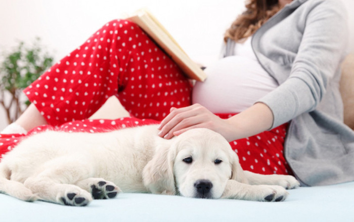 Trong thời kỳ mang thai, mẹ bầu chớ nên làm 4 việc nhà kiểu này nếu không muốn làm tổn thương em bé trong bụng-5