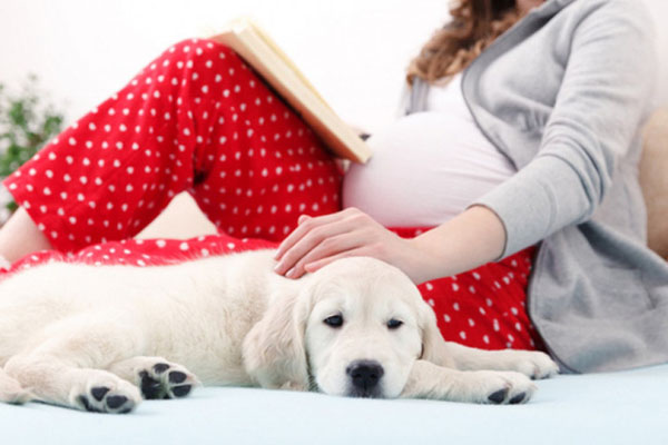 Vừa về nhà sau sinh, bé gái đã bị sặc sữa nguy kịch: Bác sĩ khuyến cáo các mẹ học ngay cách xử lý này-3