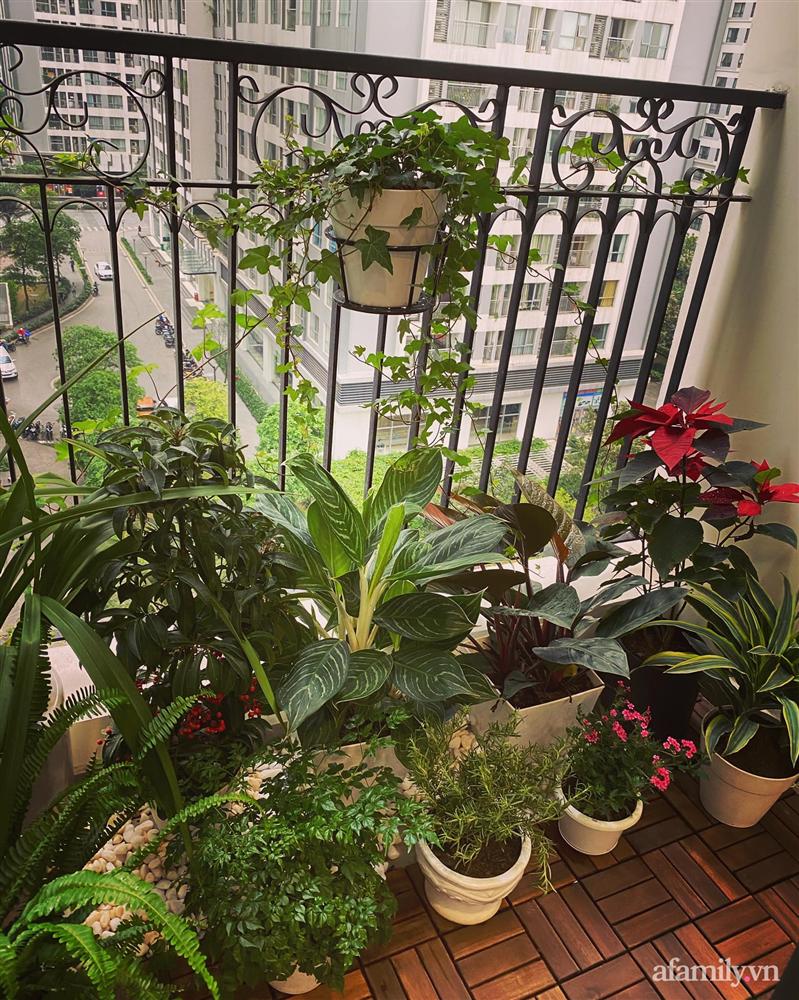 Căn hộ chanh sả tưng bừng đón mừng Giáng sinh của chàng MC độc thân đất Hà Thành-17