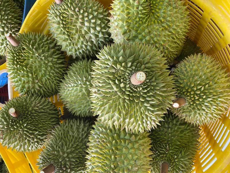 Trung Quốc ồ ạt gom mua, trái cây Việt tăng giá kỷ lục-1