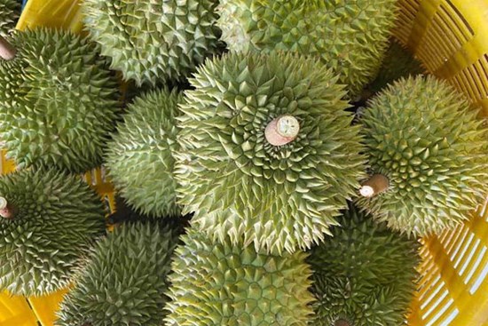 Trung Quốc ồ ạt gom mua, trái cây Việt tăng giá kỷ lục