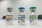 Vắc-xin COVID-19 của Pfizer hiệu quả 95% nhưng phụ nữ mang thai và 2 nhóm đối tượng này được khuyến cáo không nên tiêm-2
