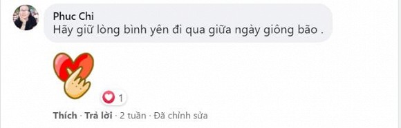 Những dấu hiệu rạn nứt tình cảm của Diễn viên Hoàng Anh và vợ Việt kiều-14