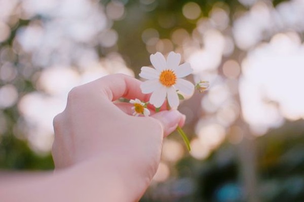 Xem tử vi 12 con giáp thứ 4 ngày 9/12/2020: Tuổi Dần may mắn đủ đường, tuổi Thìn tài lộc kém-1