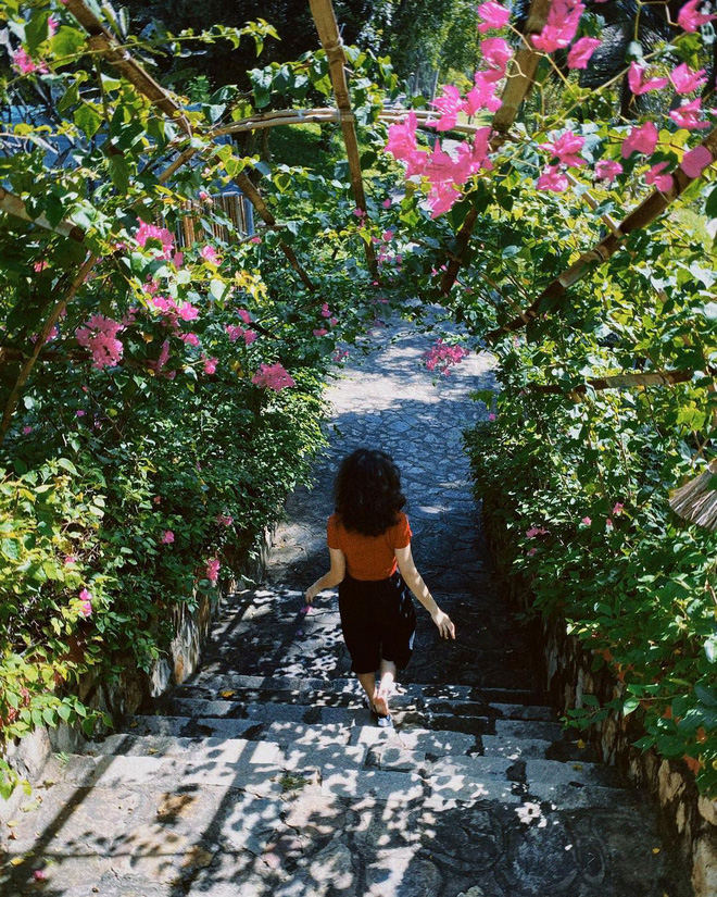 Con gái út nhà diva Mỹ Linh lần đầu khoe dáng với bikini, sức sống tuổi 18 chính là điểm nhấn-5