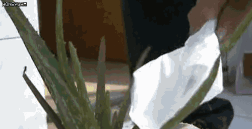 Thêm thứ này vào bia, vòi nước bị xỉn vì bẩn hay quần áo cứng đơ thô ráp cũng được giải quyết trong vòng một nốt nhạc-22