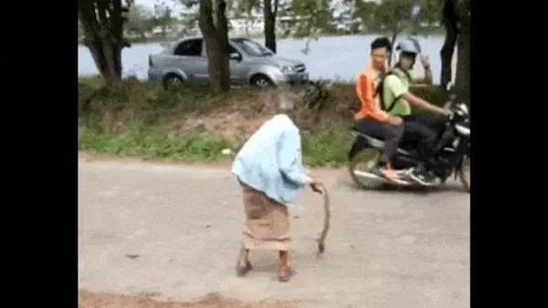 Bé Na xui xẻo dù không có nọc độc vẫn bị cụ bà tay không quật chết ngay tại chỗ, hình ảnh ghi lại cảnh hiện trường viral cõi mạng-1