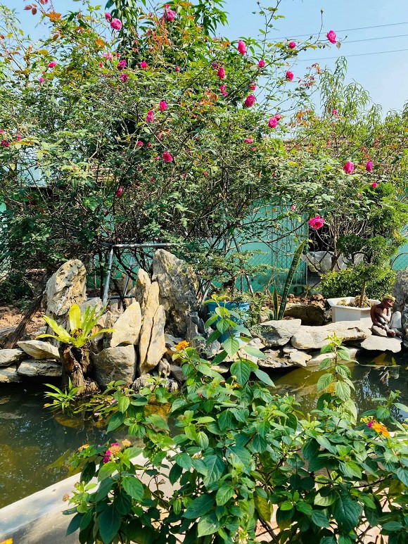 Khu vườn tràn ngập hoa thơm của NSND Minh Hằng, cuộc sống đáng mơ ước khi về hưu-2