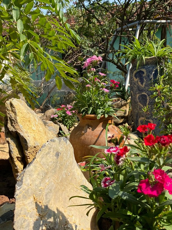 Khu vườn tràn ngập hoa thơm của NSND Minh Hằng, cuộc sống đáng mơ ước khi về hưu-4