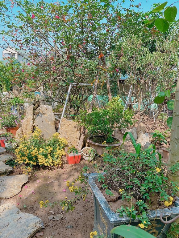 Khu vườn tràn ngập hoa thơm của NSND Minh Hằng, cuộc sống đáng mơ ước khi về hưu-6