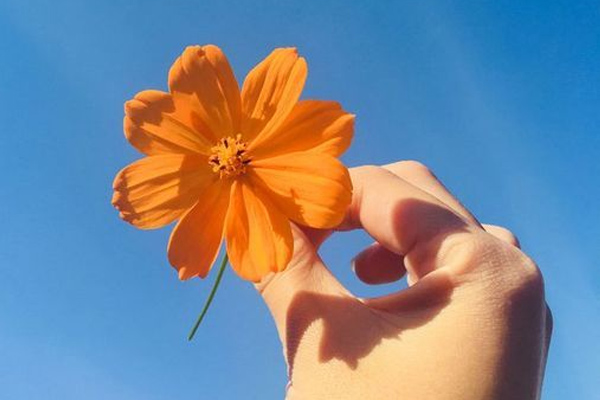 Năm 2021 của Song Tử: Mua nhà tậu xe, có chỗ dựa tài chính-4