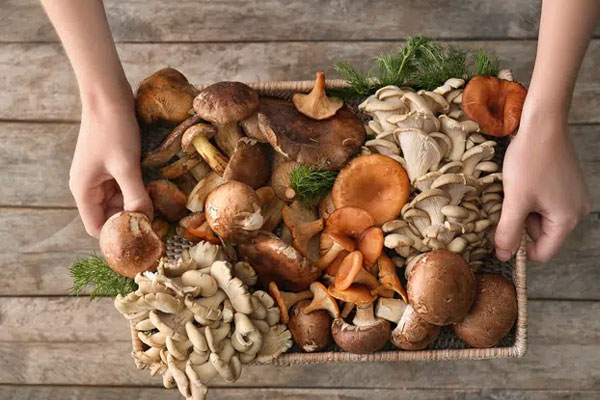 Có một loại bột&nbsp;được mệnh danh là trợ thủ hoàn hảo:&nbsp;Không chỉ là gia vị cho món ăn thêm ngon mà còn hô biến bếp sạch kin kít chỉ trong 1 nốt nhạc!-7