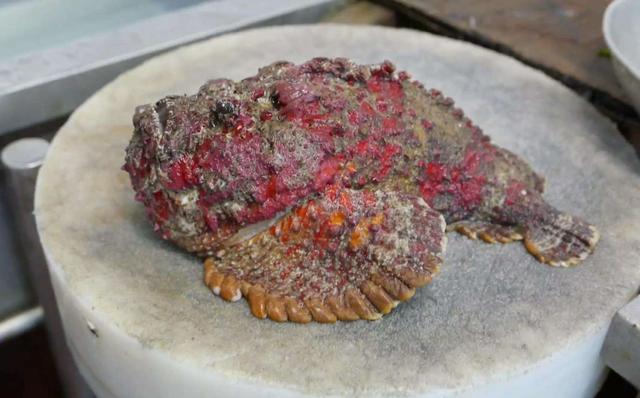 Giống cá từng làm thức ăn cho gia cầm, nay muốn ăn phải rút ví tiền triệu/kg-2