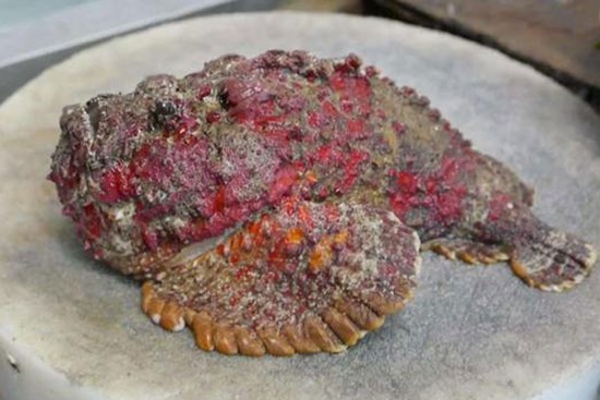 Giống cá từng làm thức ăn cho gia cầm, nay muốn ăn phải rút ví tiền triệu/kg